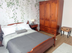 Apartment Mejtas- city centre, free garage parking